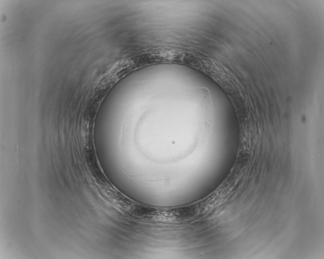 X0000086940656200705071419