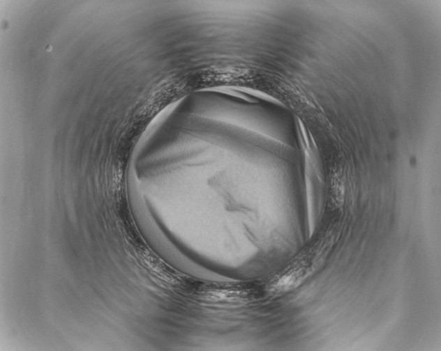 X0000086940657200705071419