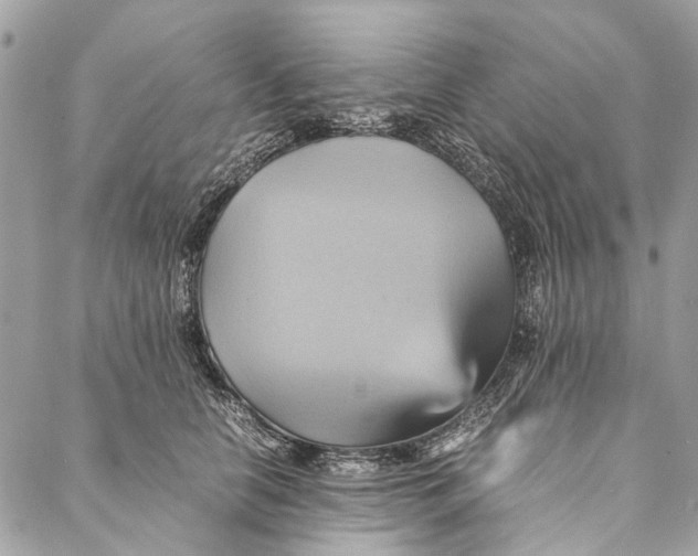 X0000086940658200705071419