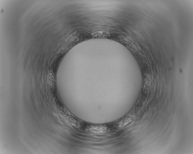 X0000086940659200705071419