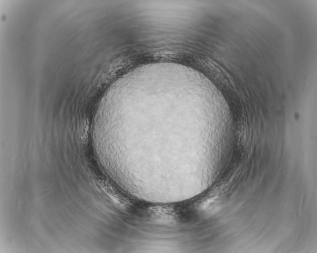 X0000086940660200705071419