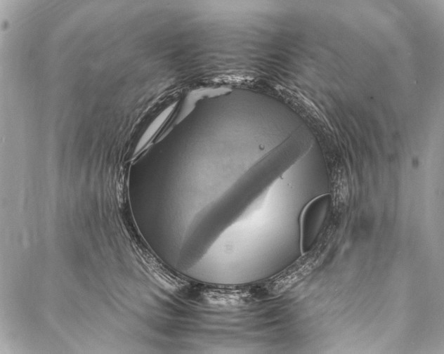 X0000086940661200705071419