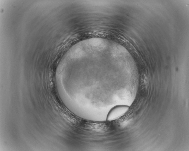 X0000086940663200705071419