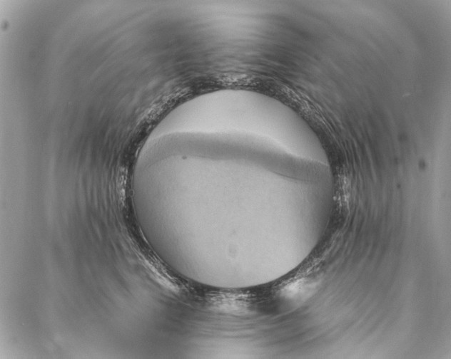 X0000086940664200705071419