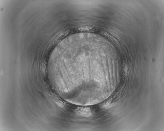 X0000086940665200705071419