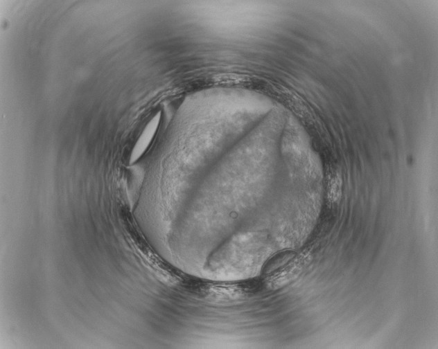 X0000086940666200705071419