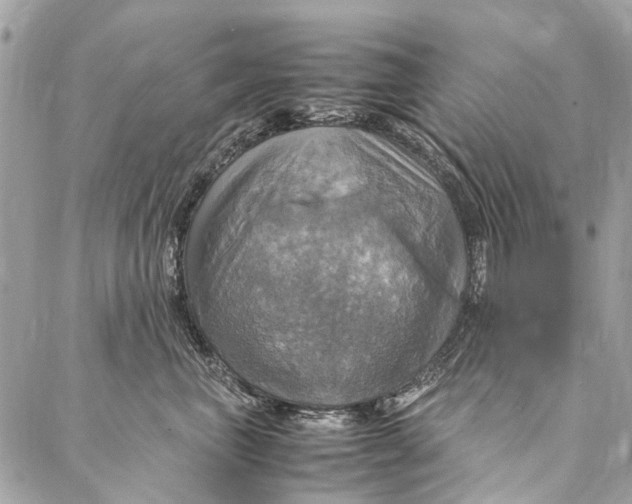 X0000086940667200705071419