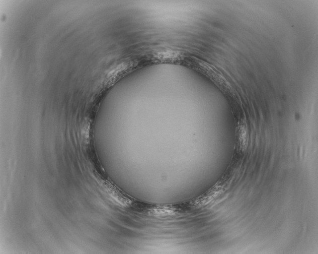 X0000086940668200705071419