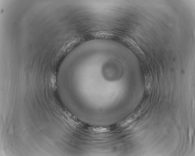 X0000086940669200705071419