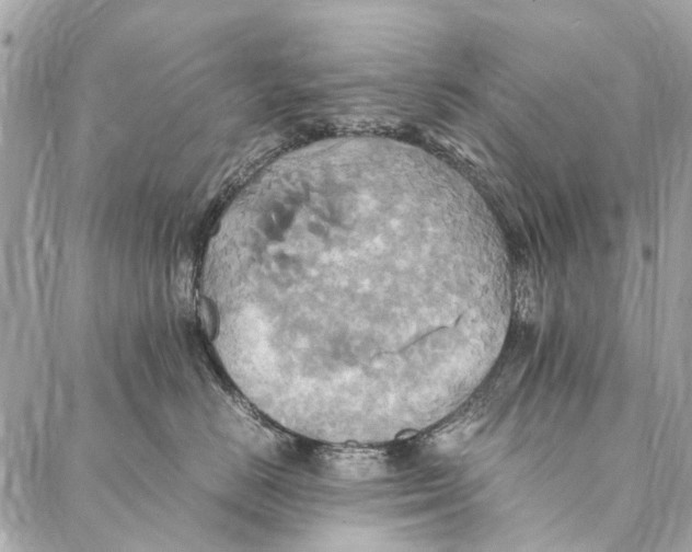 X0000086940670200705071419