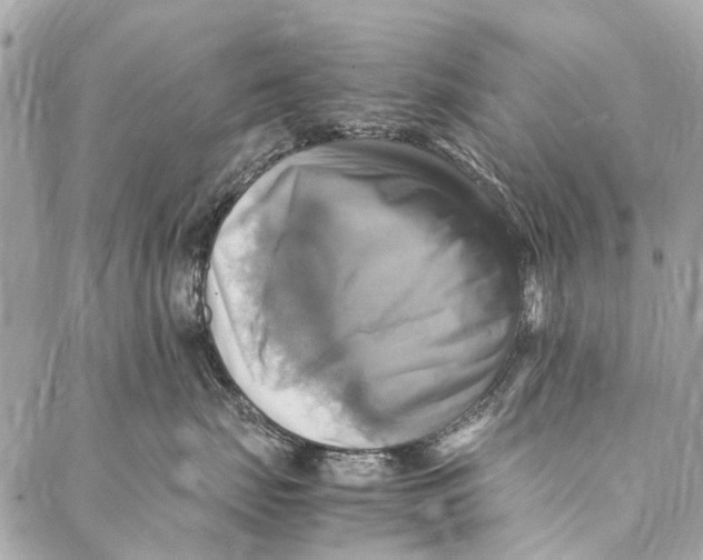 X0000086940671200705071419