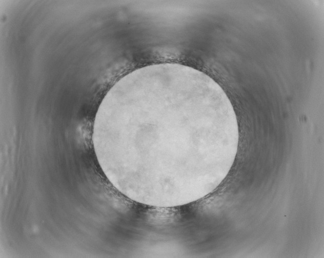 X0000086940672200705071419