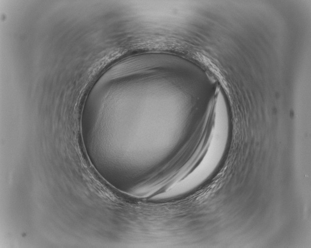 X0000086940673200705071419