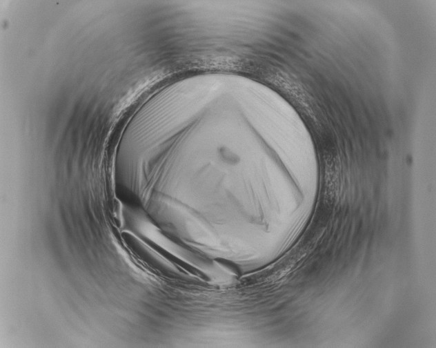 X0000086940674200705071419