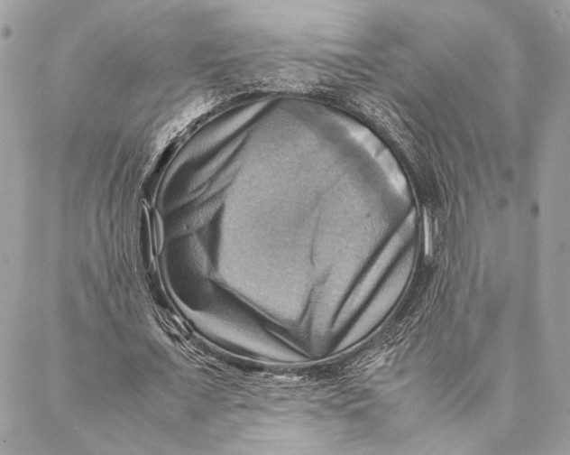 X0000086940675200705071419