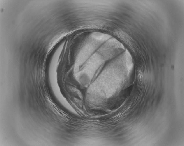 X0000086940676200705071419