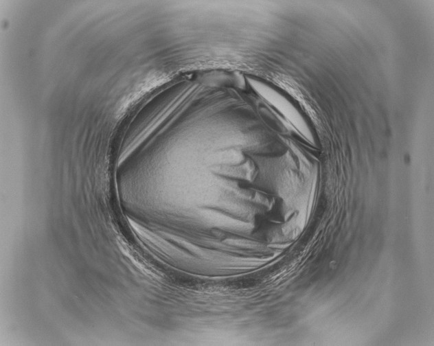 X0000086940677200705071419