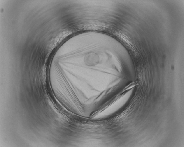 X0000086940678200705071419