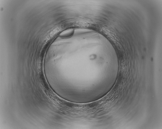 X0000086940679200705071419