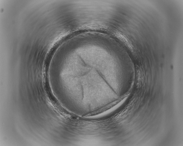 X0000086940680200705071419