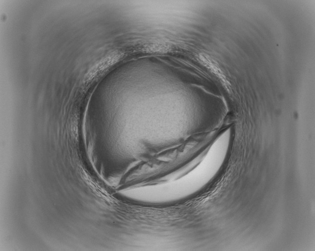 X0000086940681200705071419