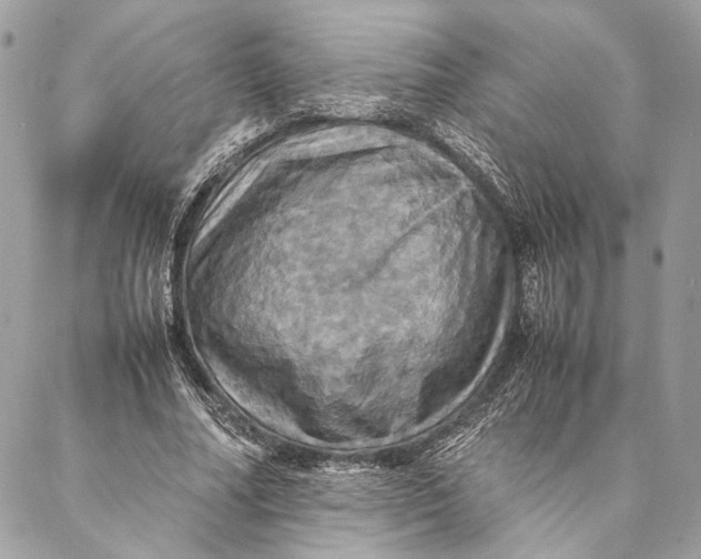 X0000086940682200705071419