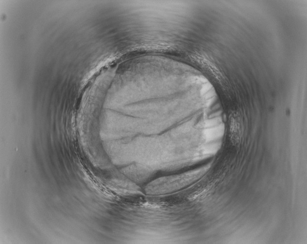 X0000086940684200705071418