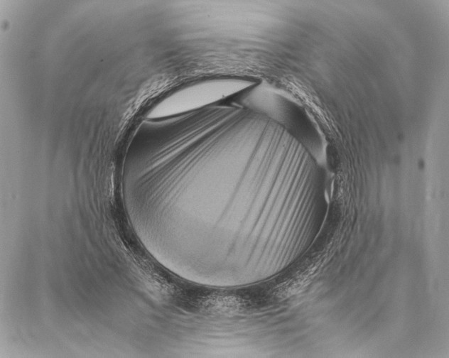 X0000086940685200705071418