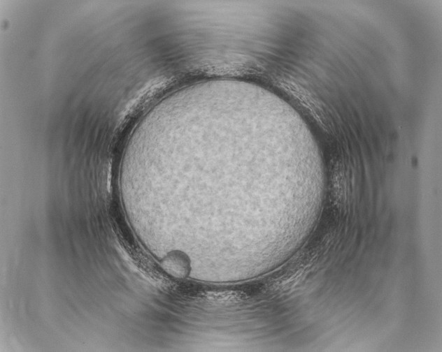 X0000086940686200705071418