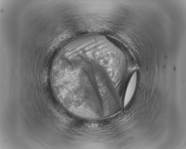 X0000086940687200705071418