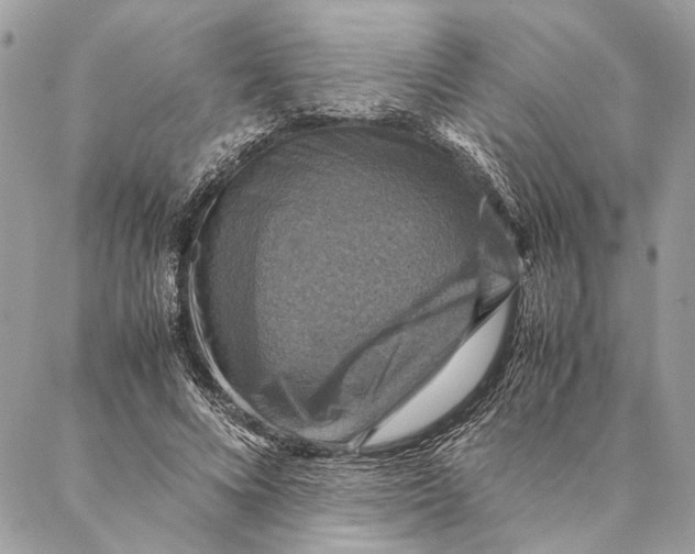 X0000086940688200705071418