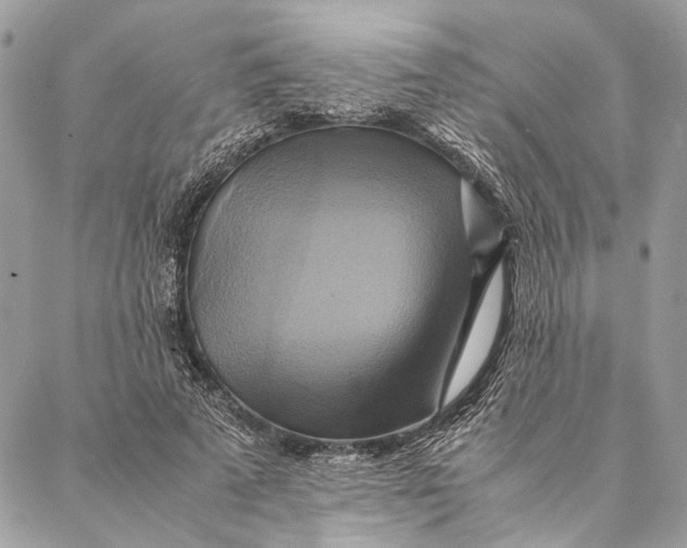 X0000086940689200705071418