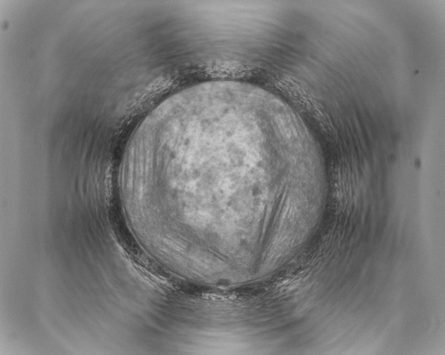 X0000086940690200705071418