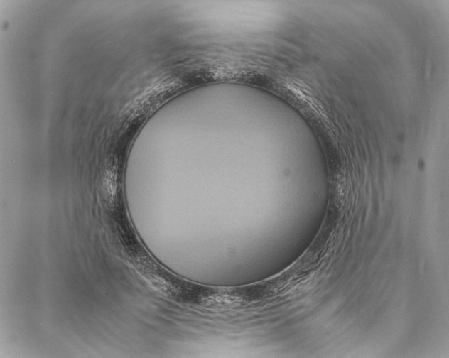 X0000086940691200705071418