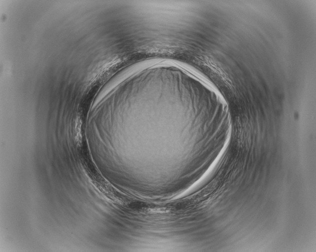 X0000086940692200705071418