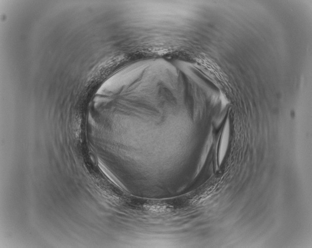 X0000086940693200705071418