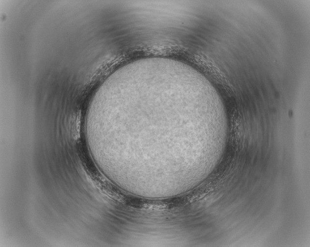 X0000086940694200705071418