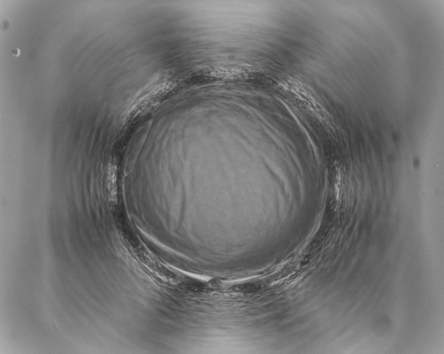 X0000086940696200705071418