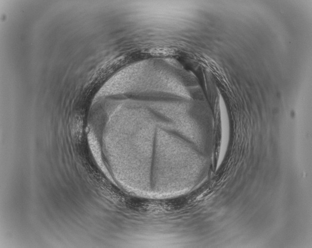 X0000086940697200705071418