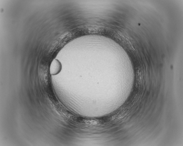 X0000086940698200705071418