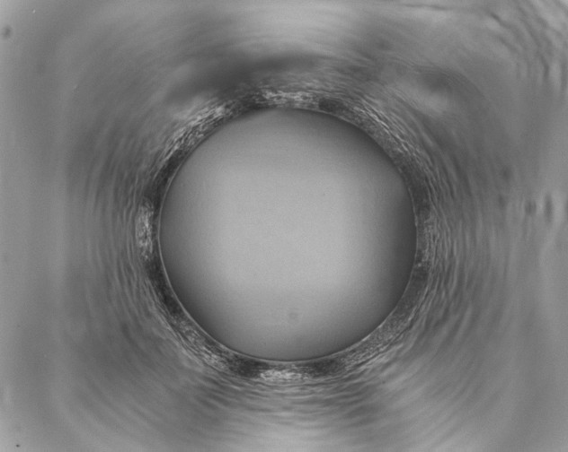 X0000086940699200705071418