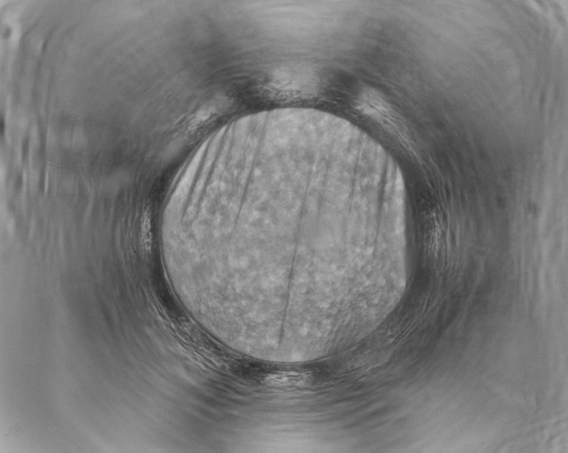 X0000086940700200705071418