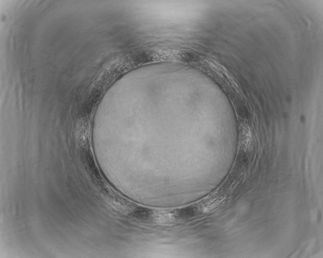 X0000086940701200705071418