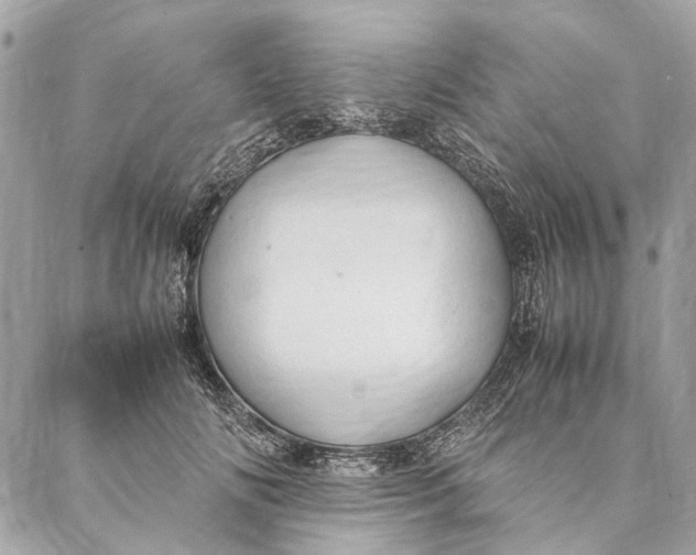 X0000086940702200705071418