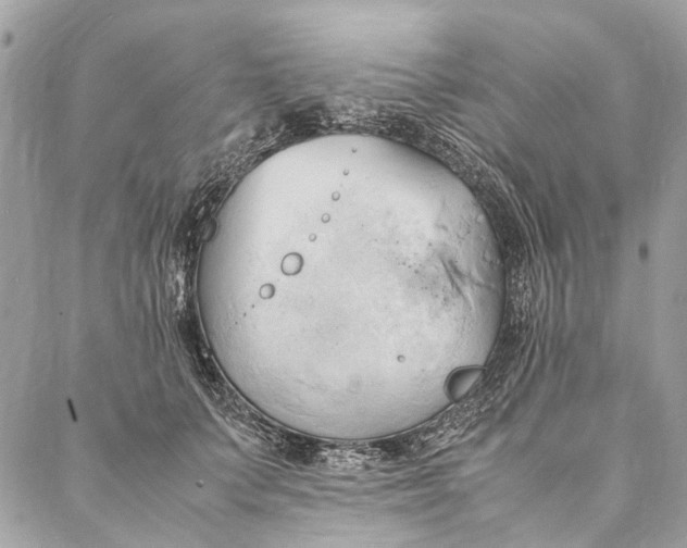 X0000086940703200705071418