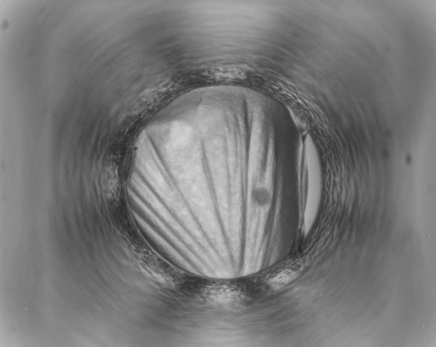 X0000086940704200705071418