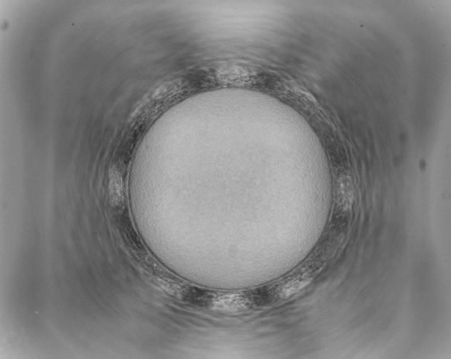 X0000086940705200705071418