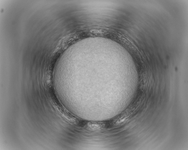 X0000086940706200705071418