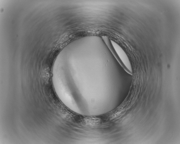 X0000086940707200705071418