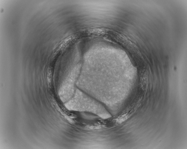 X0000086940708200705071418